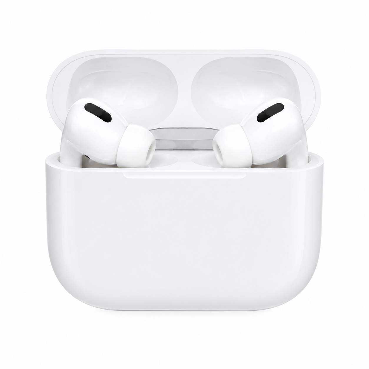 Earphones