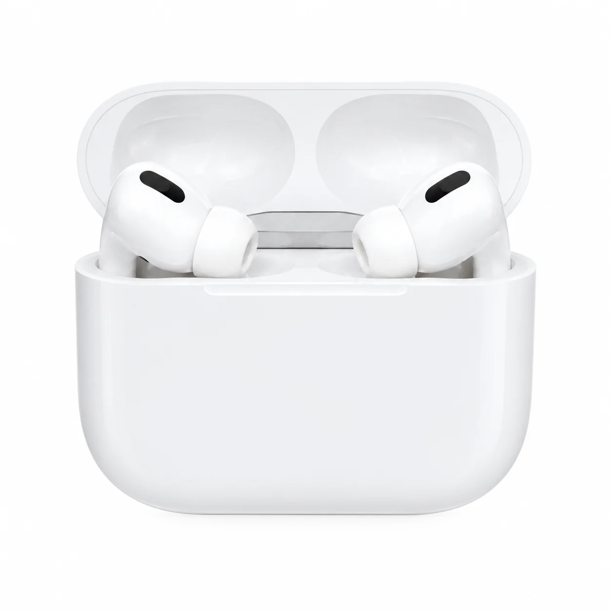 Earphones